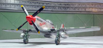 P-51D Mustang